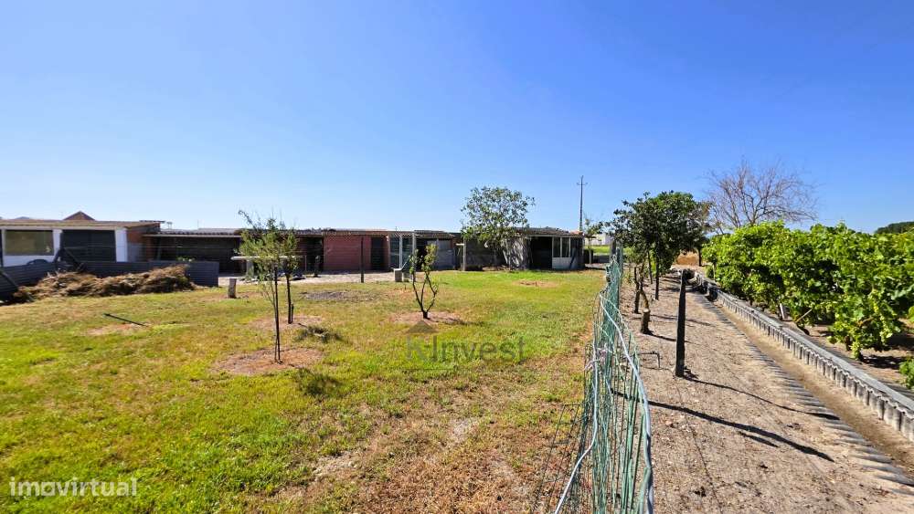 Quinta  com Moradia T6, Casa T2, Piscina Aquecida -  Salvaterra de Mag-20