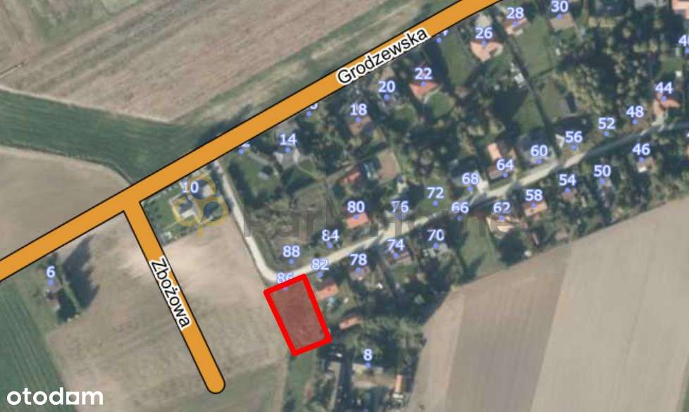 Świetny i funkcjonalny dom - duża działka- Dąbrowa-4