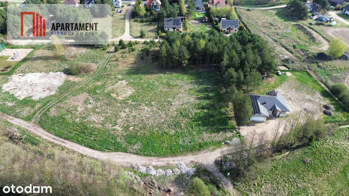 Działki Zabagno, blisko autostradyA1 do negocjacji - Pełny obrazek: 2/10