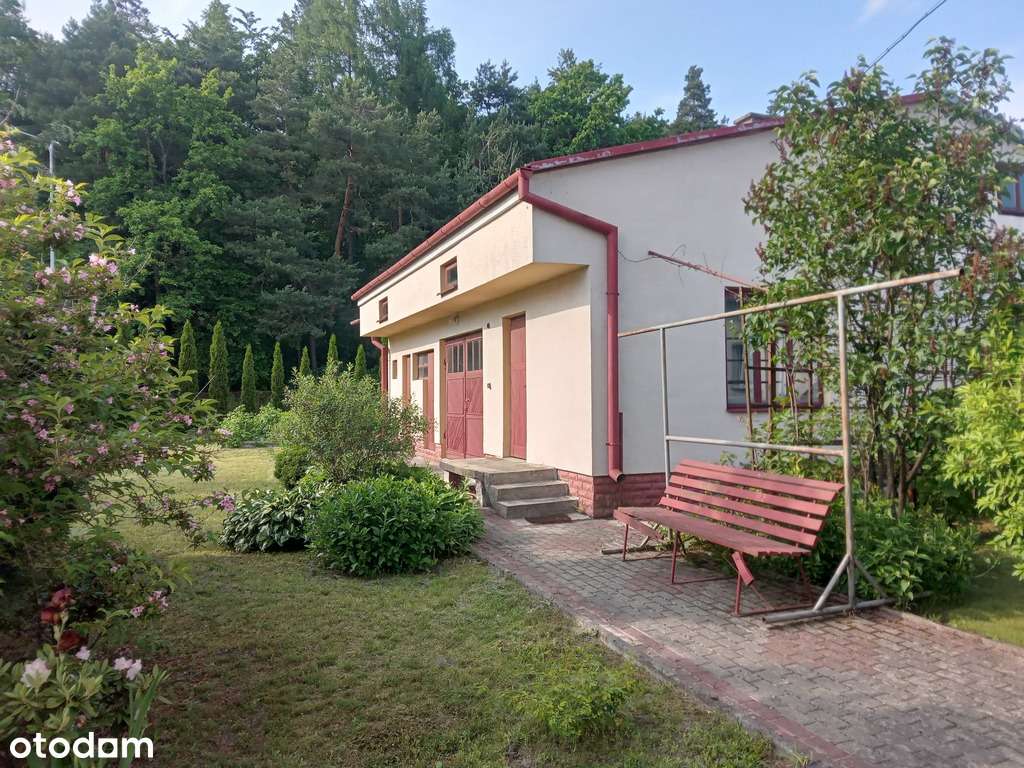 Dom z budynkiem gospodarczym przy lesie - Pełny obrazek: 3/9