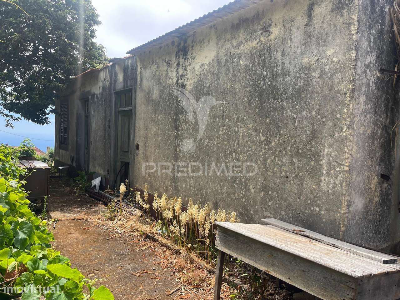 QUINTA CENTENÁRIA NA PONTA DO PARGO – OPORTUNIDADE ÚNICA JUNTO AO F... - Grande imagem: 5/18