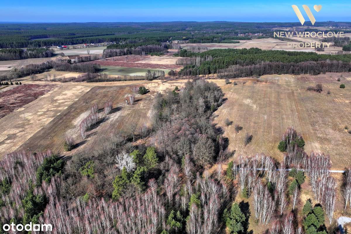 Duża działka rolna, Czeszów | Zawonia | Trzebnica - Pełny obrazek: 5/11