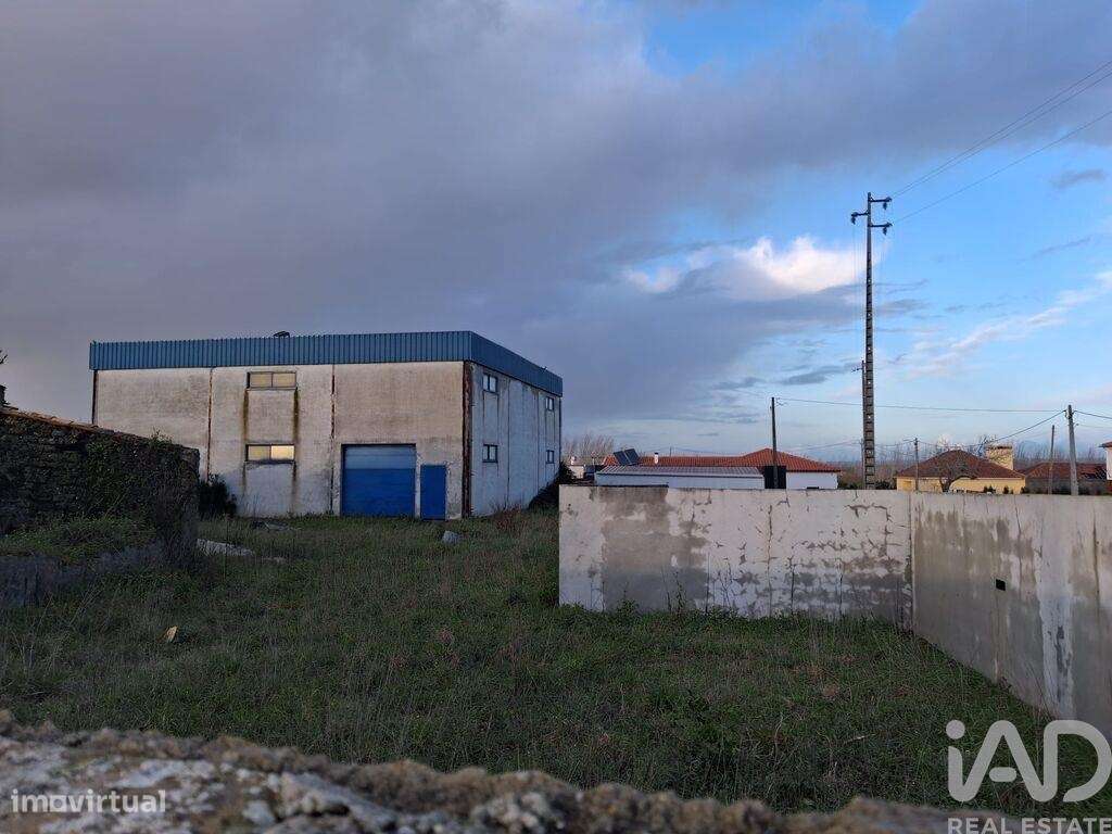 Hangar em Monte Real e Carvide de 292,00 m2 - Grande imagem: 2/6