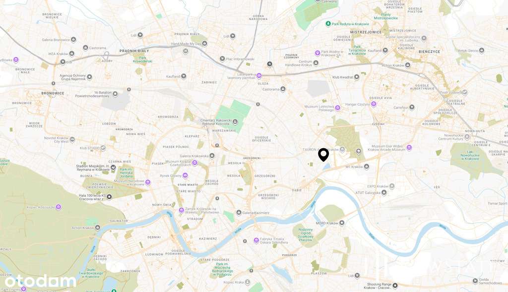 Lokal gastronomiczny | Dąbie, ul. Dąbska | 39 m2-13