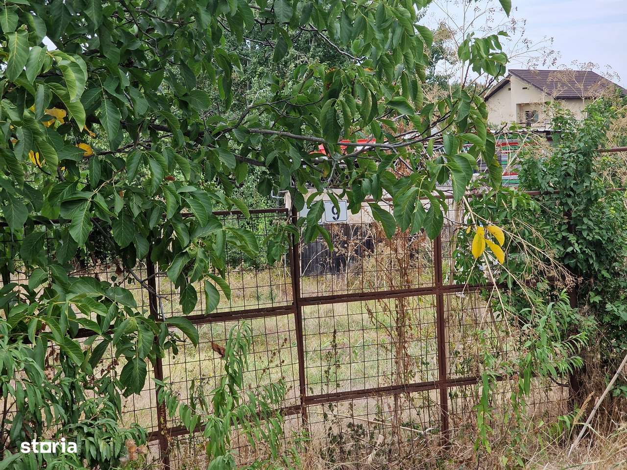 Teren intravilan Frumusani, utilitati gaz si curent, put, 1239 mp,-2