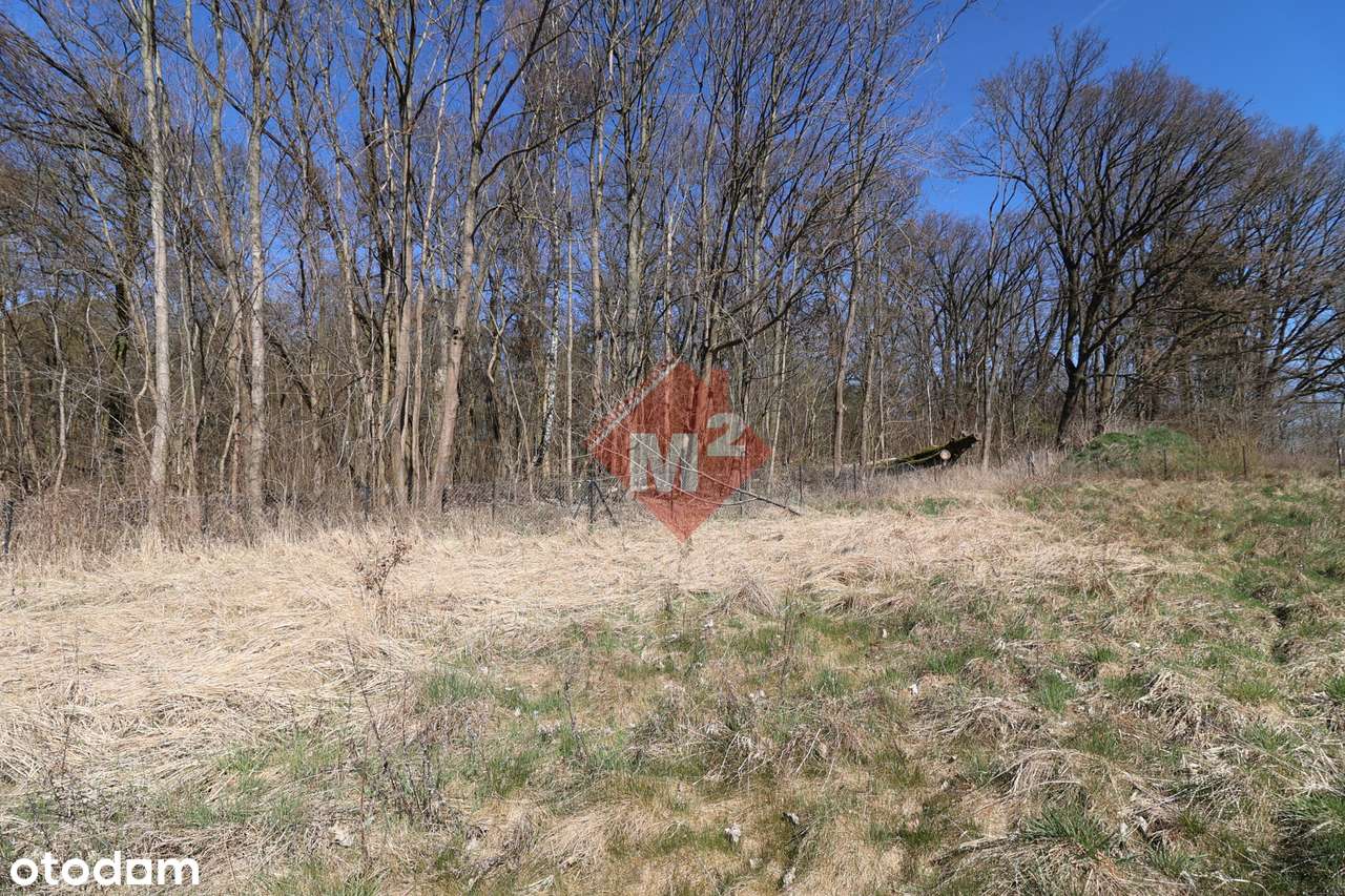 Działka budowlana na sprzedaż - Wierzchląd-3