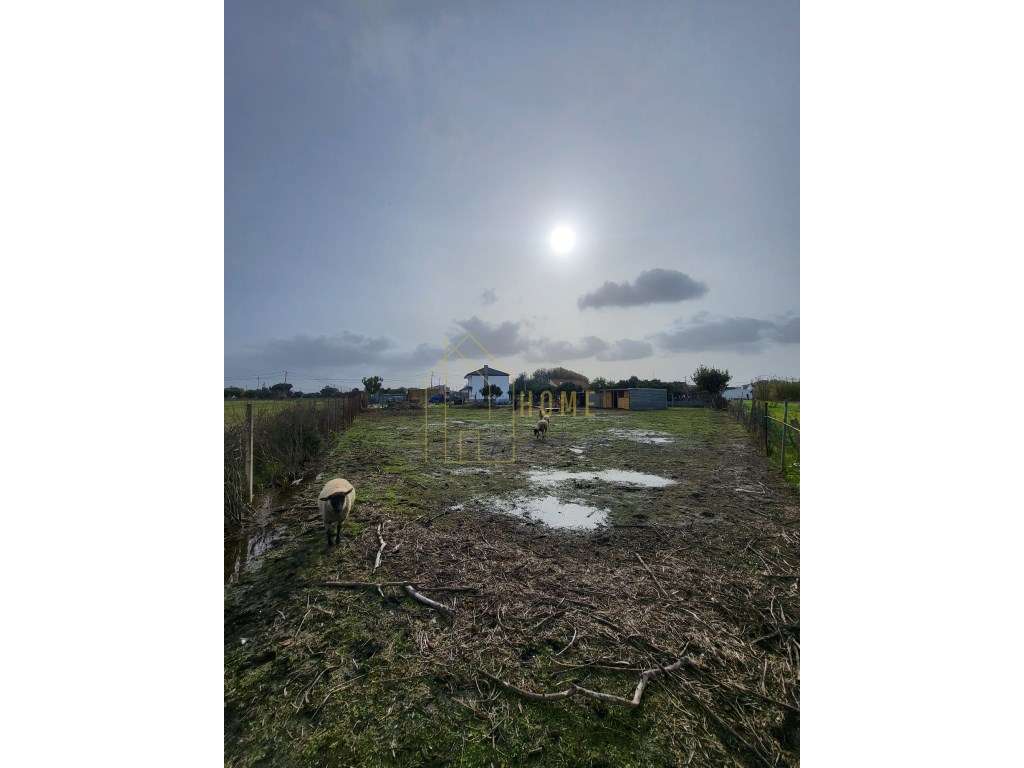 Excelente Quinta Bi familiar ou de Investimento-43