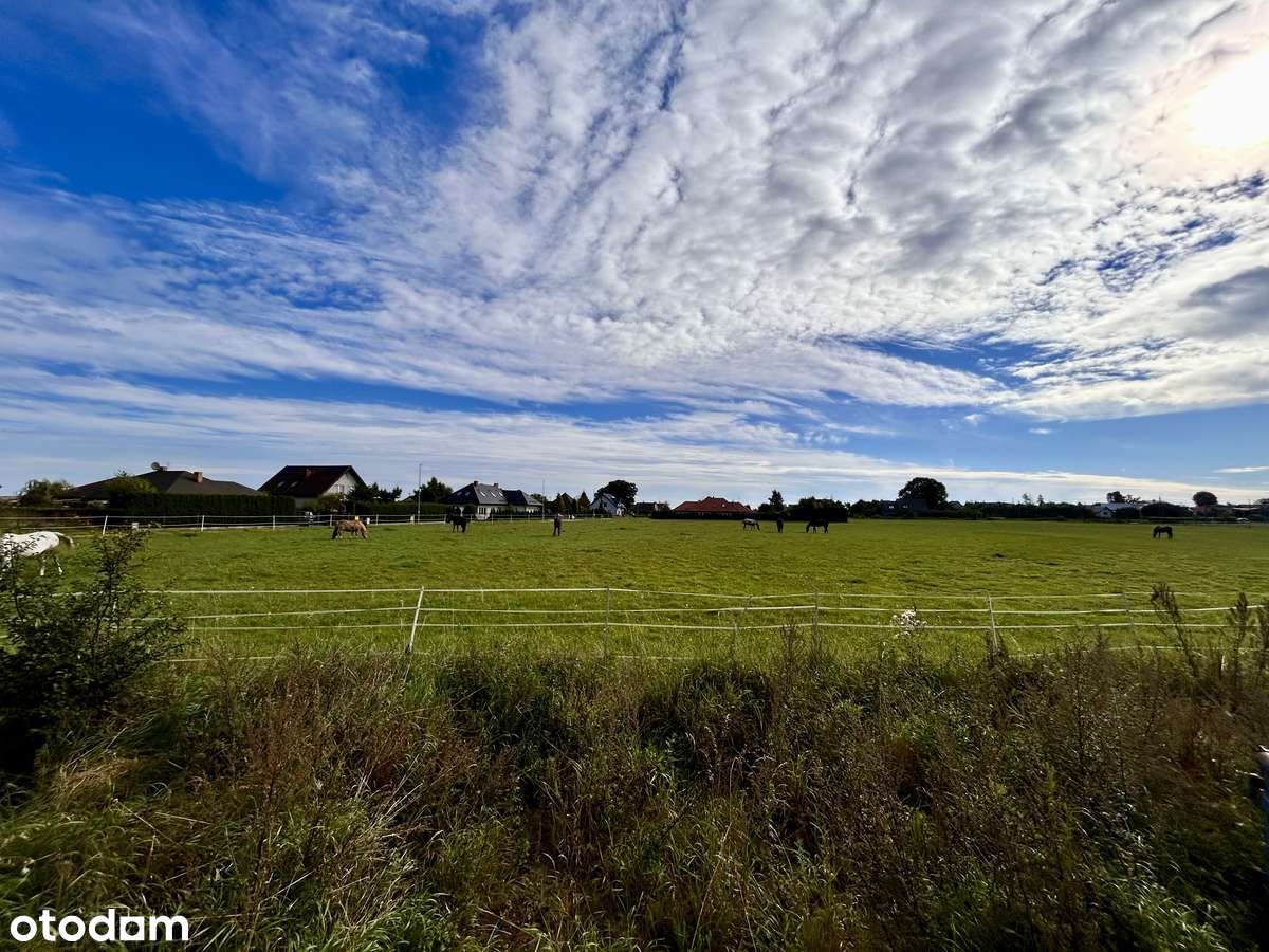 Dom z garażem, 4 sypialnie, pompa ciepła+kominek, strych-12