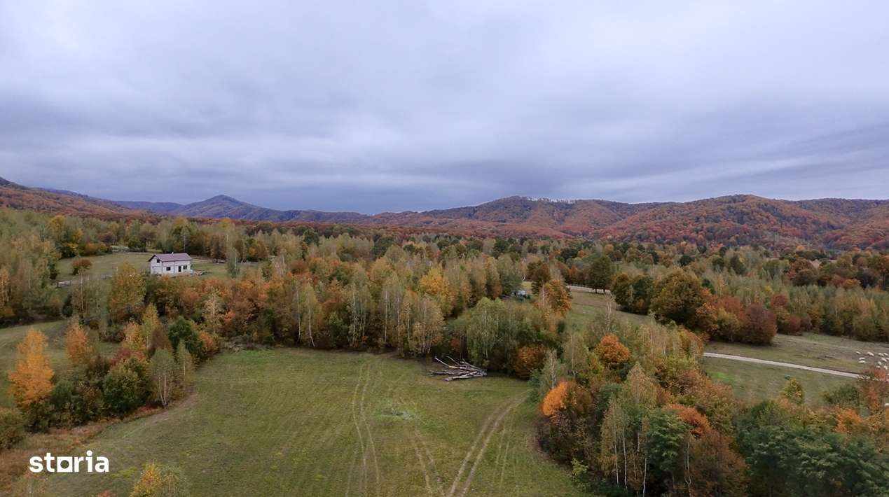 2652 mp, extravilan/comision 0% Sinca Noua Brasov - Imagine principală: 4/7