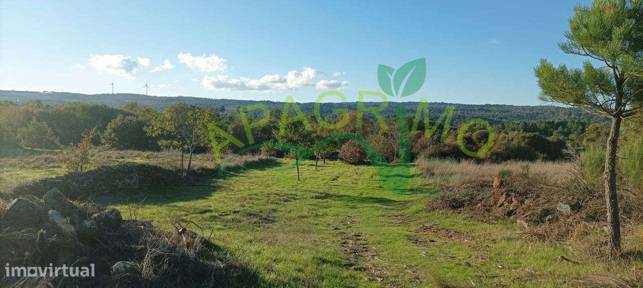 Terreno rústico Ourozinho, Penedono - Grande imagem: 4/18