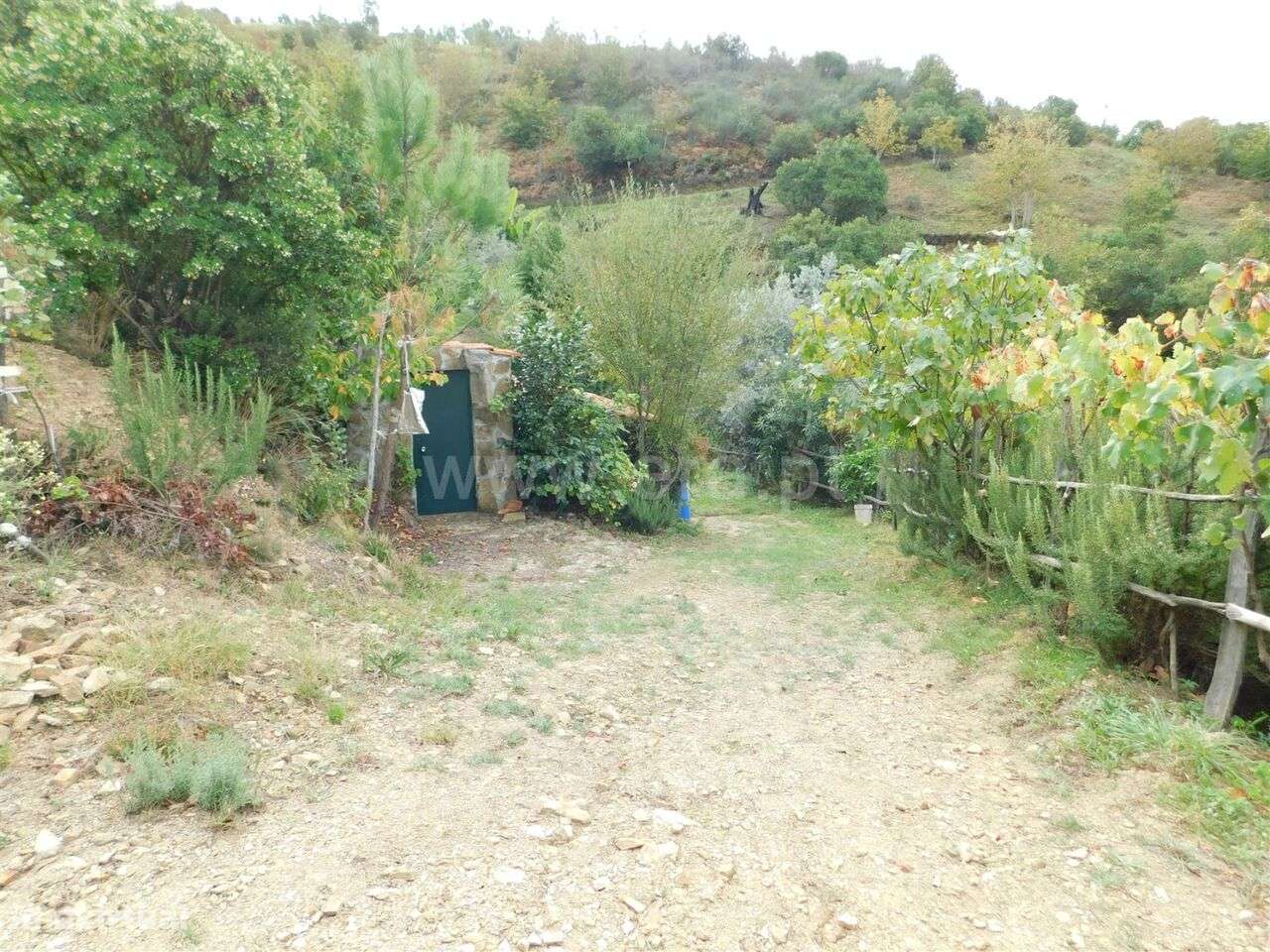 Quintinha / Seia, Sandomil - Grande imagem: 2/12