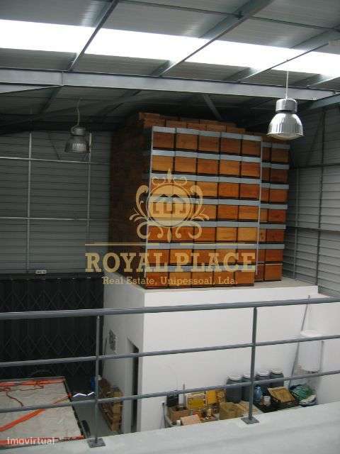 Quinta com armazém em Ossela, Oliveira de Azeméis-46