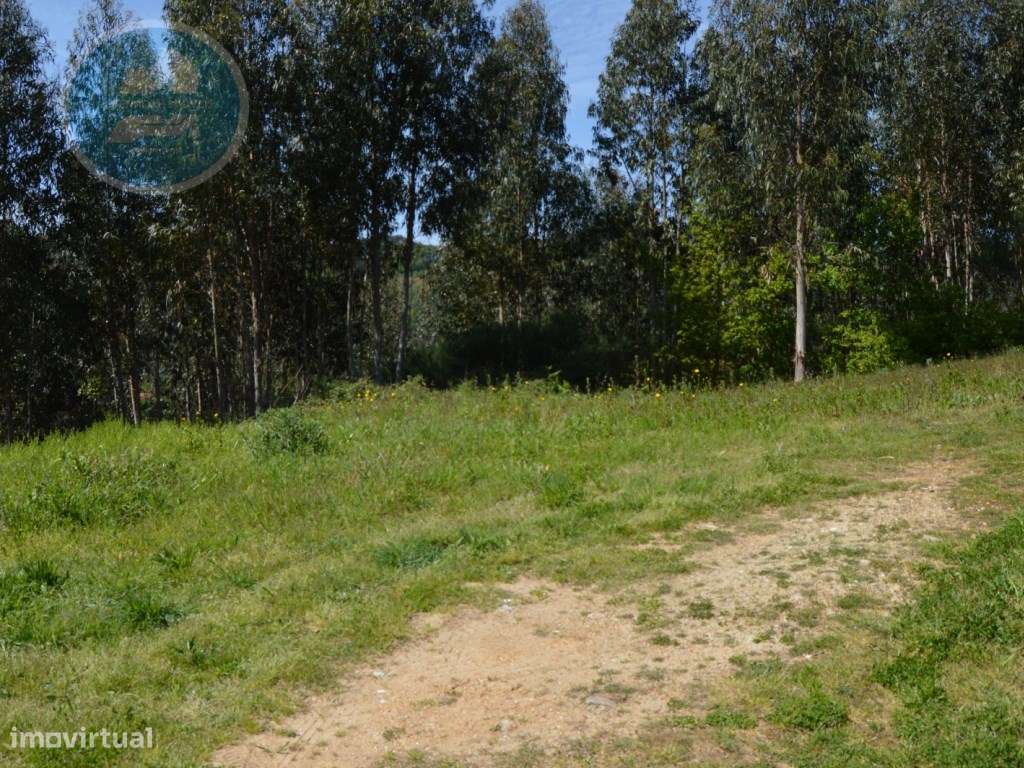 Terreno à venda- Cruz do Muro, Cabeceiras de Basto-23