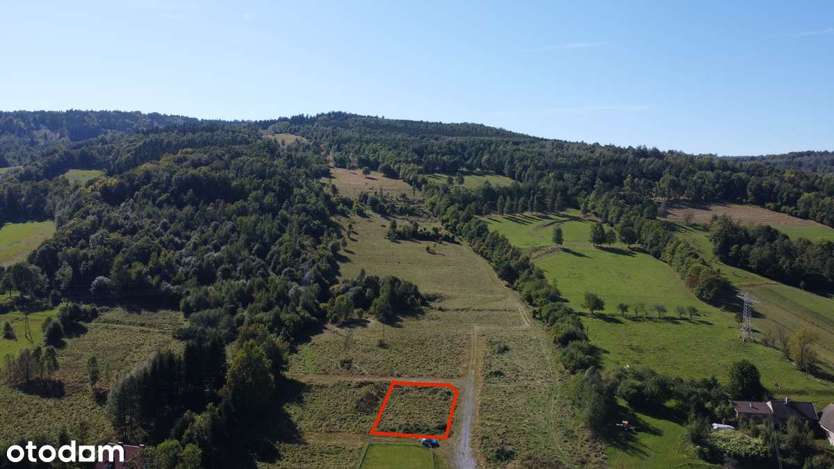 urokliwa działka w Jugowicach, miejsce pełne natury-4