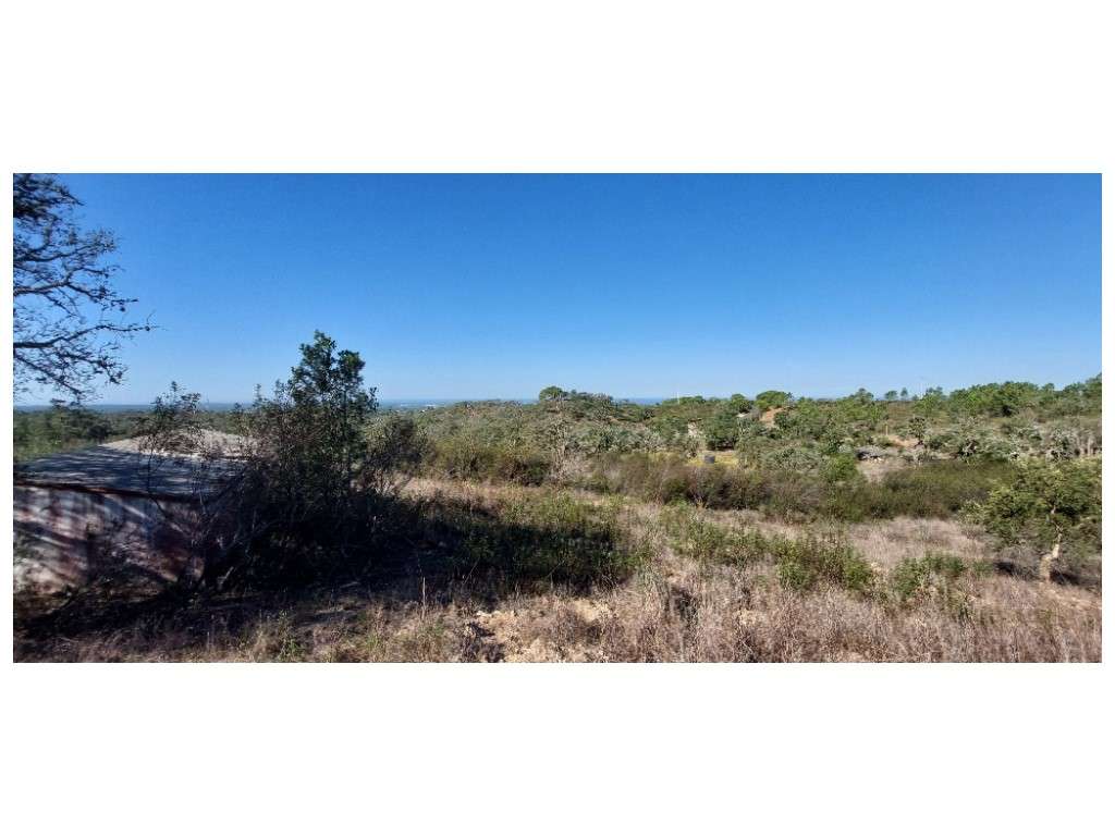 QUINTA, vista mar (5.575ha)-13