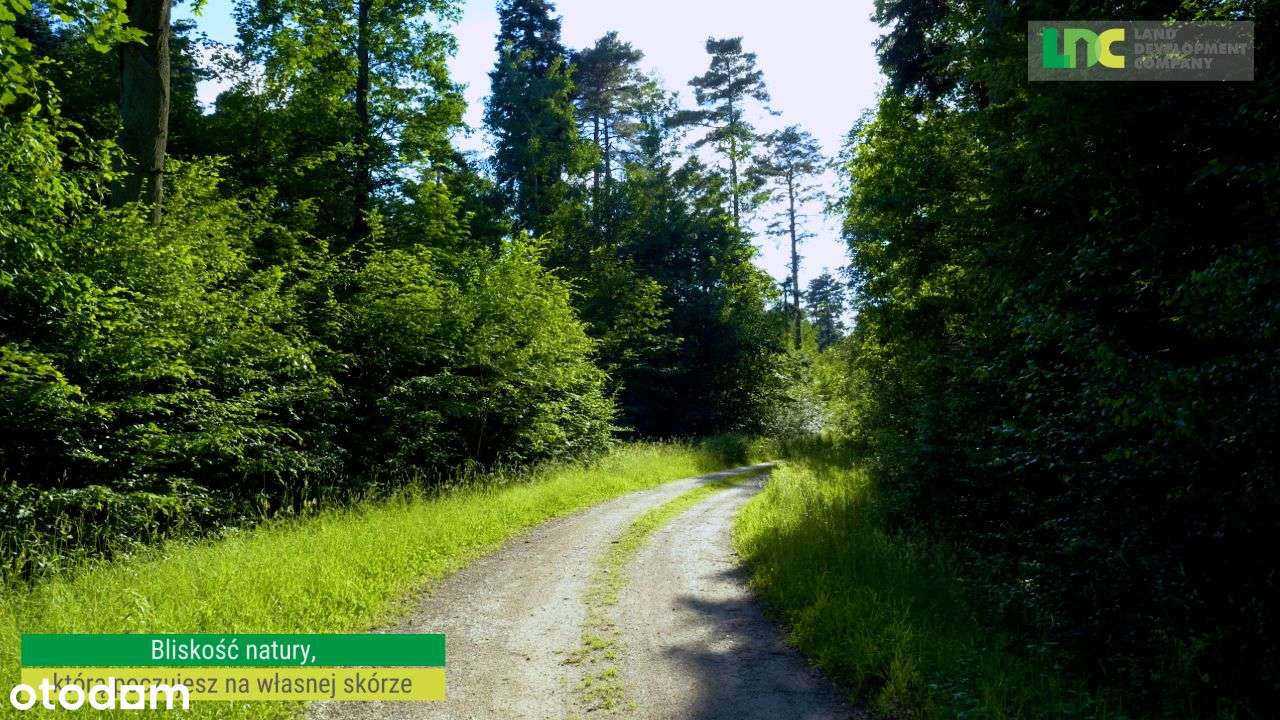 Działki budowlane z mediami! Las, 20min. od Łodzi-9