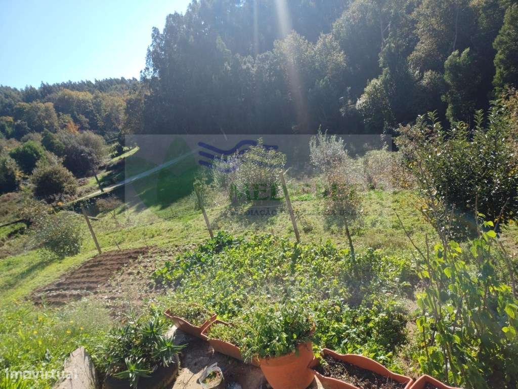 TERRENO PARA CONSTRUÇÃO | SILVA ESCURA - Grande imagem: 4/5