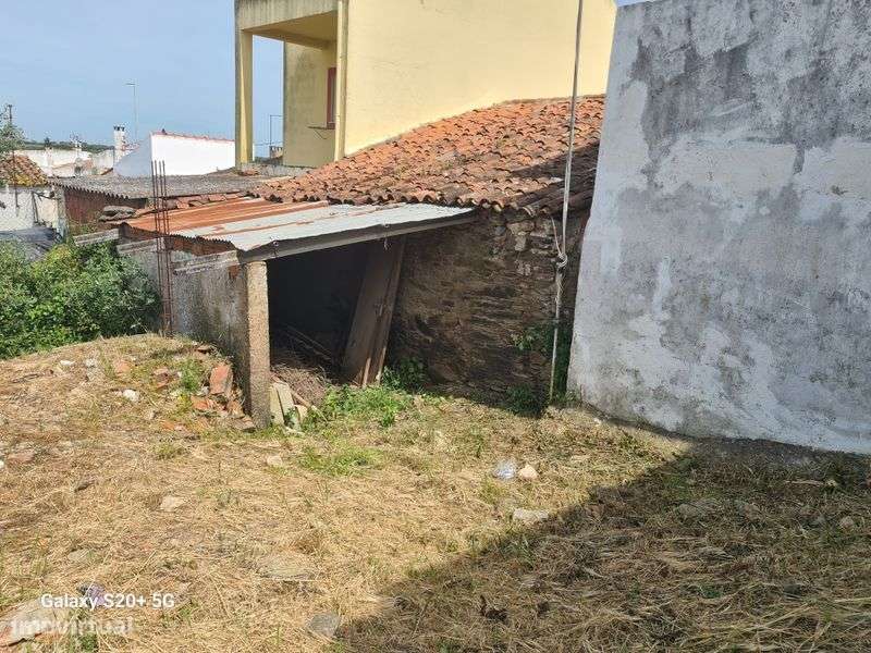 Quintal com casa - Grande imagem: 4/7