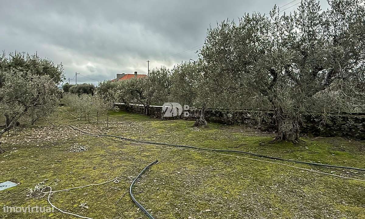 Terreno 5860m² - Pinheiros-17
