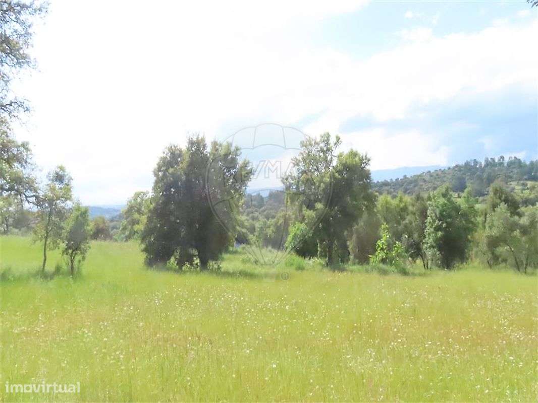 Quinta  para venda - Grande imagem: 4/28
