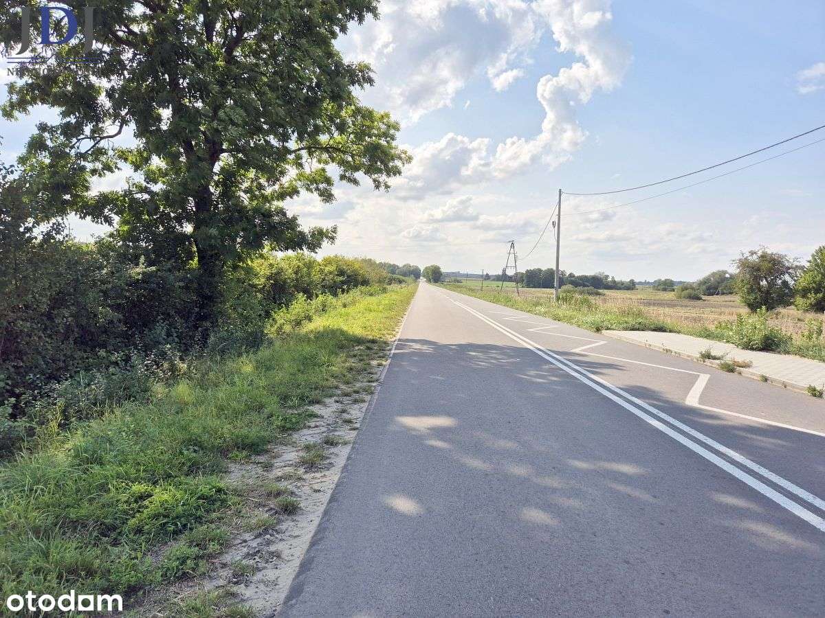 Działka 3 ha z  Warunkami Zabudowy. Kulczyn Kol. - Pełny obrazek: 3/6