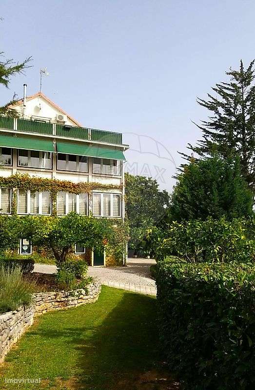 Quinta T21 para venda - Grande imagem: 4/15