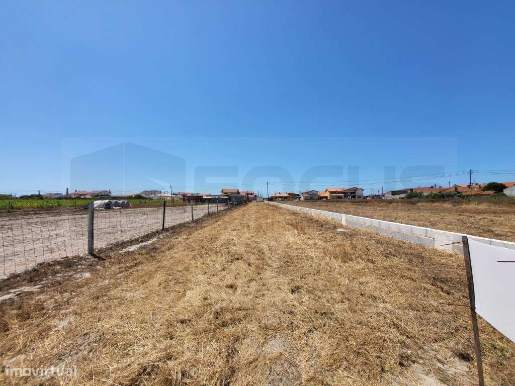 Terreno para venda na Gafanha do Carmo - Grande imagem: 4/21