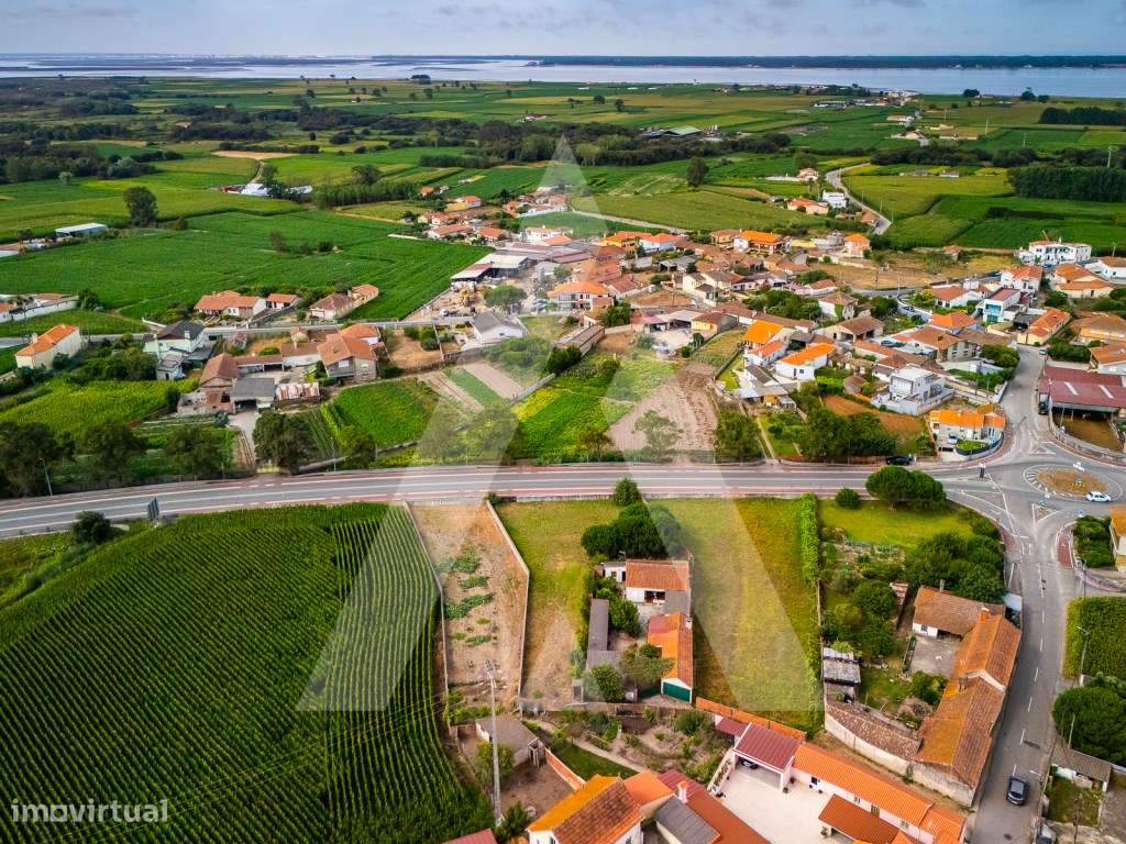 Terreno construção moradia - Murtosa - Ria de Aveiro-9