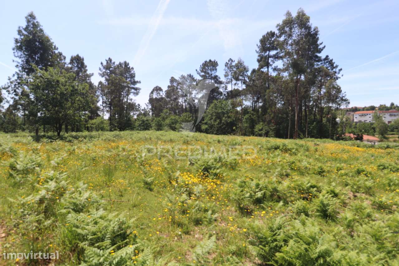 Aqui nasce o seu lar - Grande imagem: 4/17