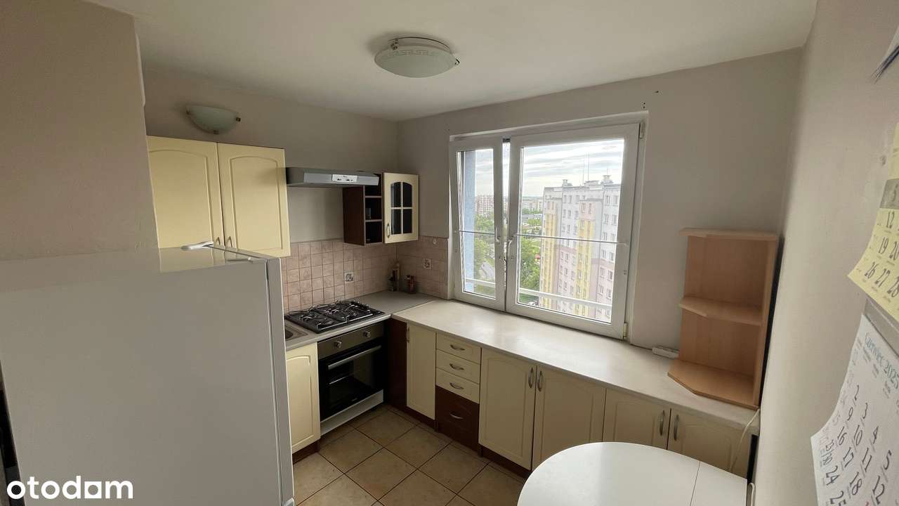 GAJ-Jabłeczna 2pokoje Ciepłe Ciche BezPośredników OdZaraz DoNegocjacji - Pełny obrazek: 5/12