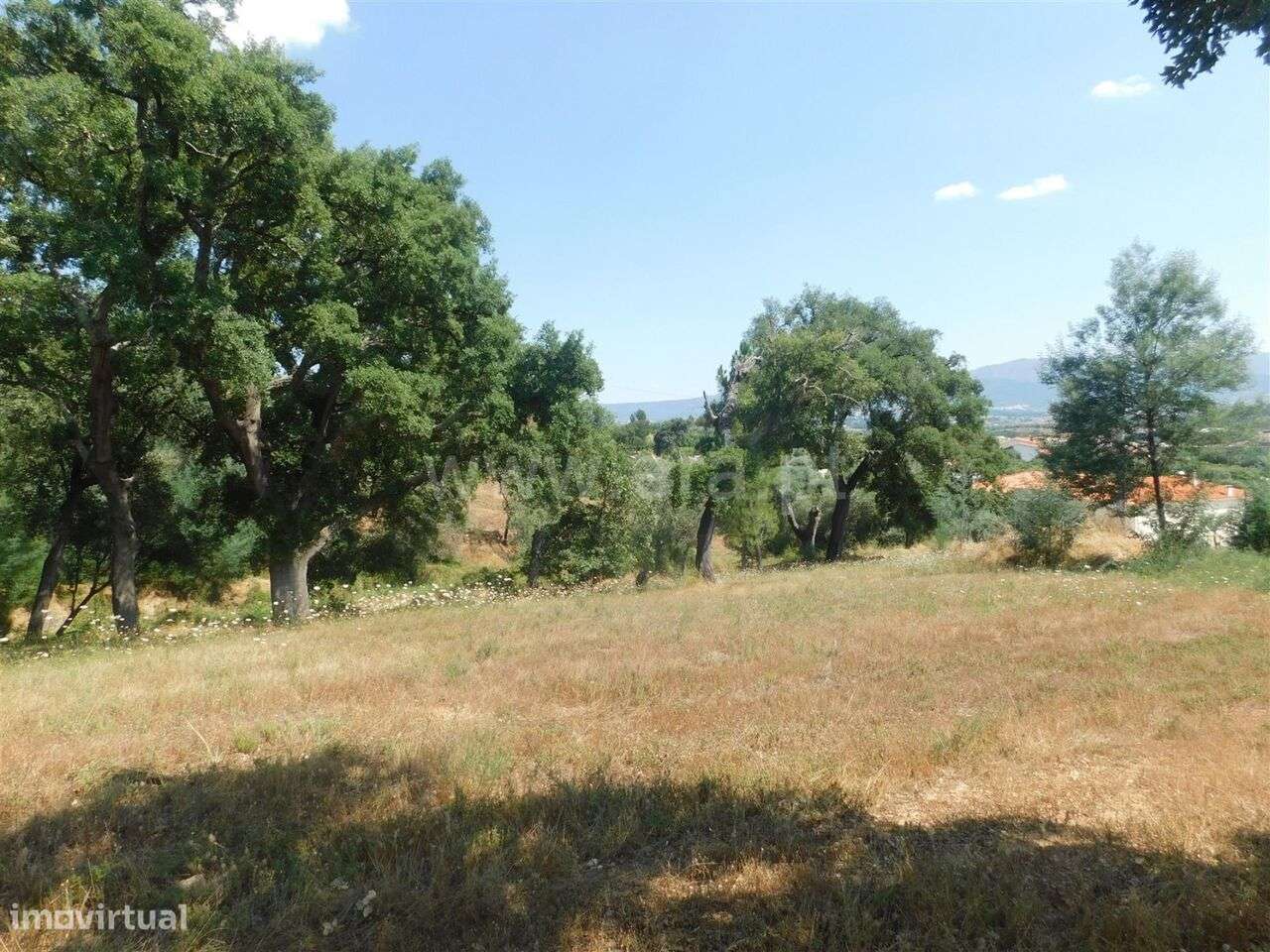 Terreno / Covilhã, Vales do Rio - Grande imagem: 4/16