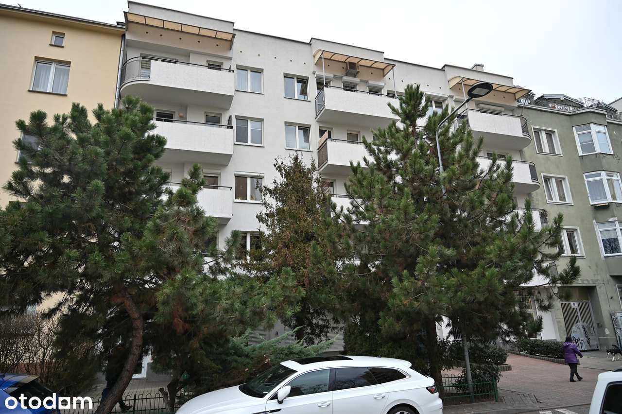 Lokal usługowy z trzema witrynami - do wynajęcia bezpośrednio - Pełny obrazek: 3/3