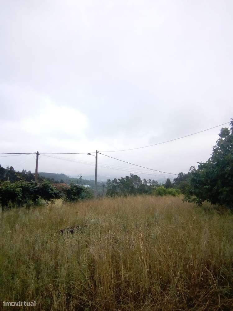 Terreno, Cidreira - Grande imagem: 3/9