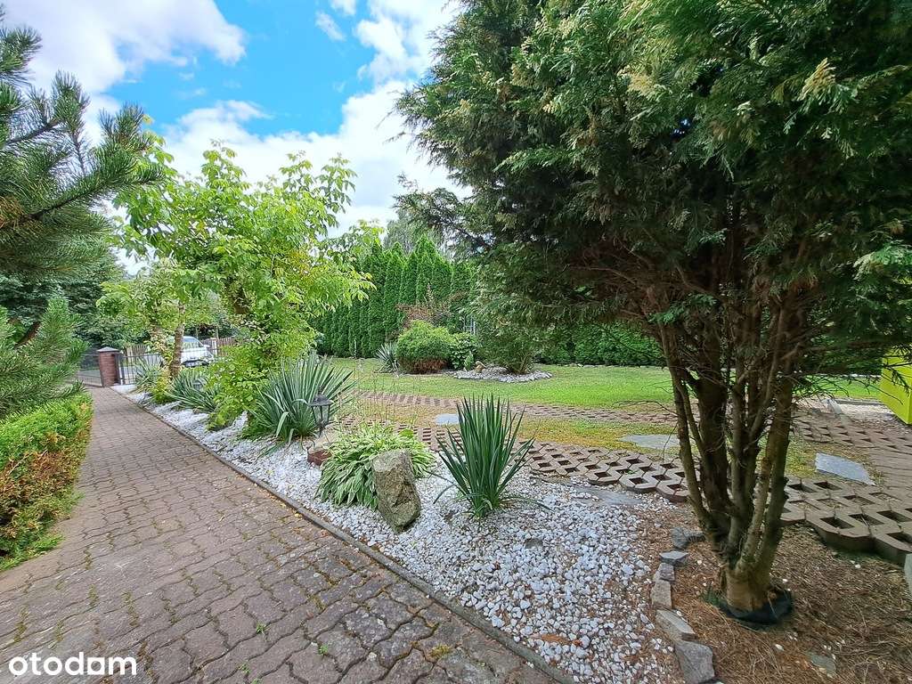 Borowa Raków dom wolnostojący działka 3230m2 - Pełny obrazek: 4/20