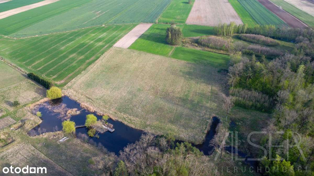 Siedlisko na uboczu | Brak sąsiadów | 5.3 Ha| Bud - Pełny obrazek: 4/20
