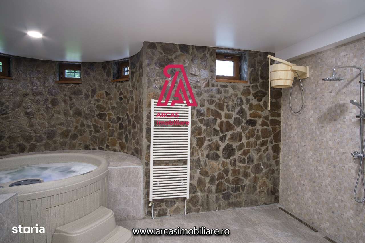 Afacere la cheie! Resedinta de lux- statiunea Paltinis!-15