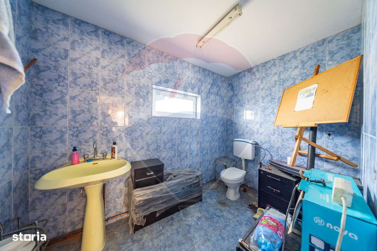 Spațiu industrial cu potential de vanzare in Paulis,Arad-14