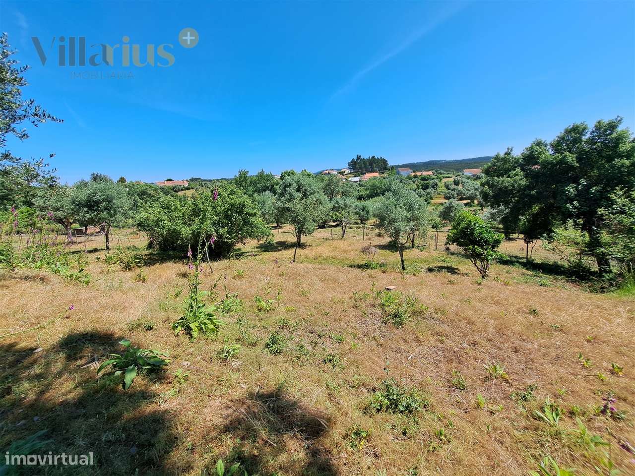 Terreno Urbano com Vista e Acesso Rápido a Tomar | Villarius Imobiliár - Grande imagem: 4/37