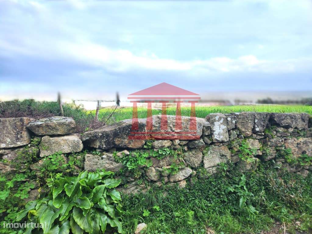 TERRENO PARA CONSTRUÇÃO - Grande imagem: 4/8