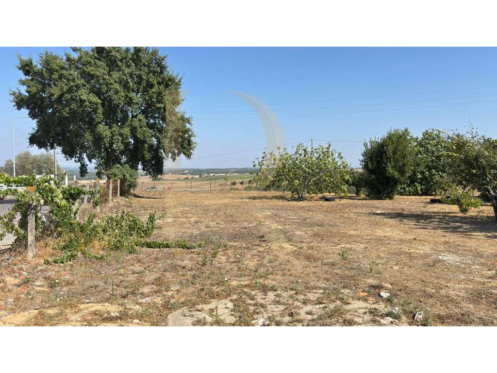 Moradia T3 transformada em T2 com Garagem, inserida num terreno de ...-32