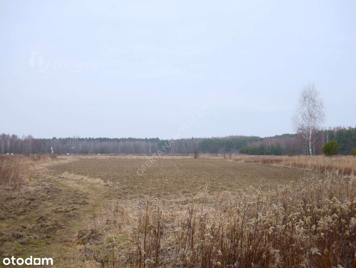 Działka 29,16 ar, rolno-budowlana z Wz, Grębów - Pełny obrazek: 4/7