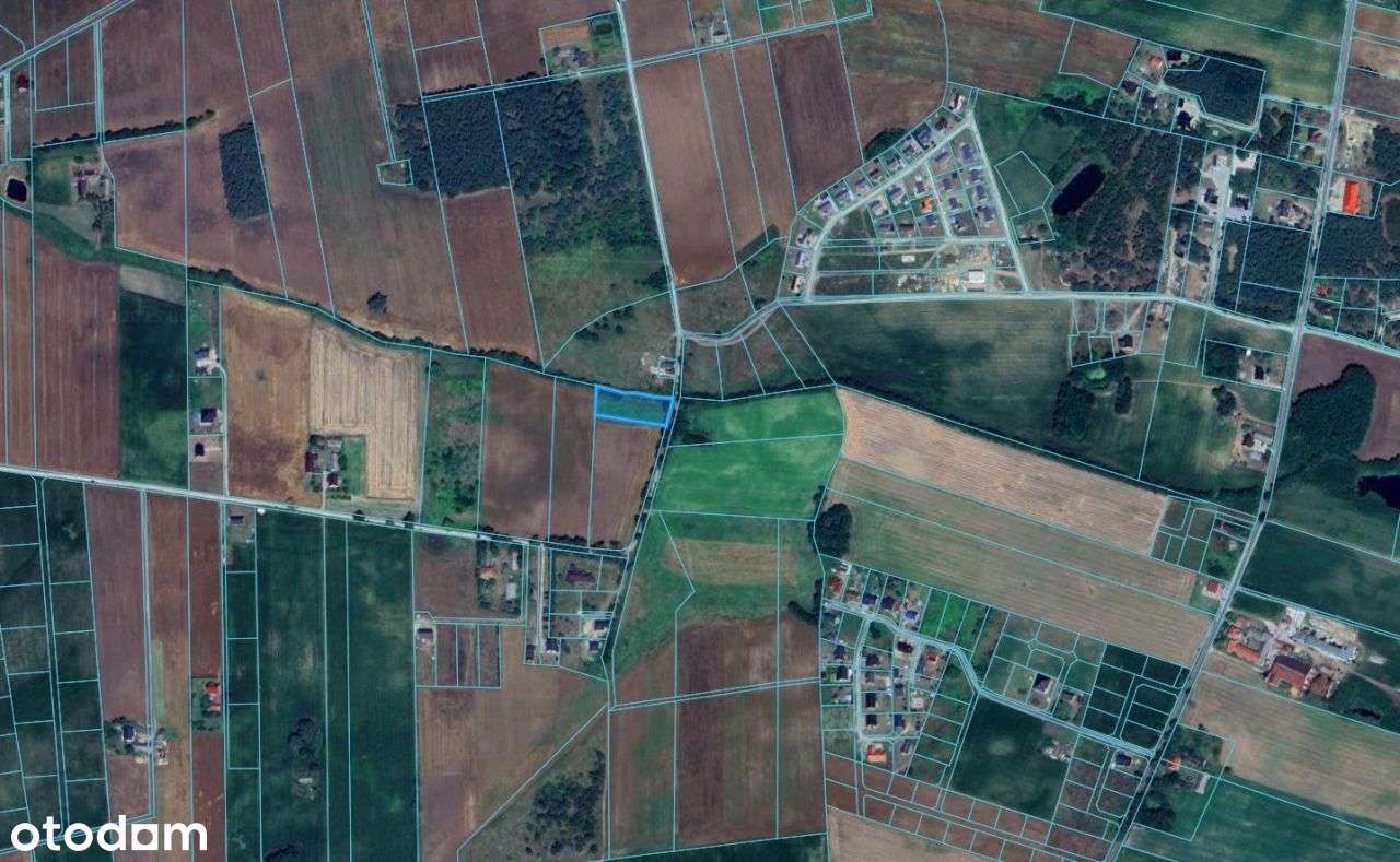 Oaza spokoju - blisko Torunia ! 99.000,00 zł ! - Pełny obrazek: 5/7