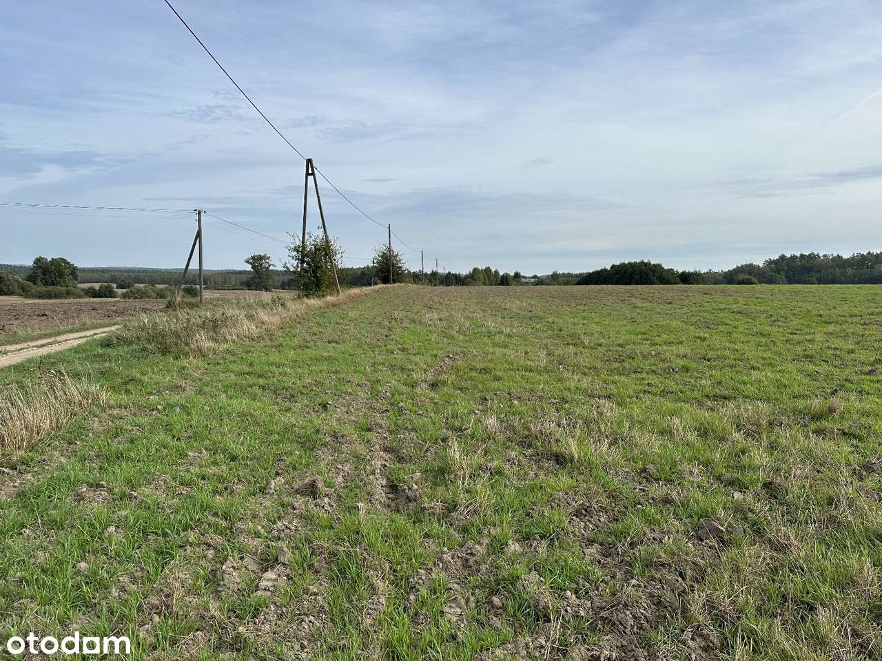 Sprzedam działkę budowlaną  w miejscowości Nowy  Chwalim. - Pełny obrazek: 4/5