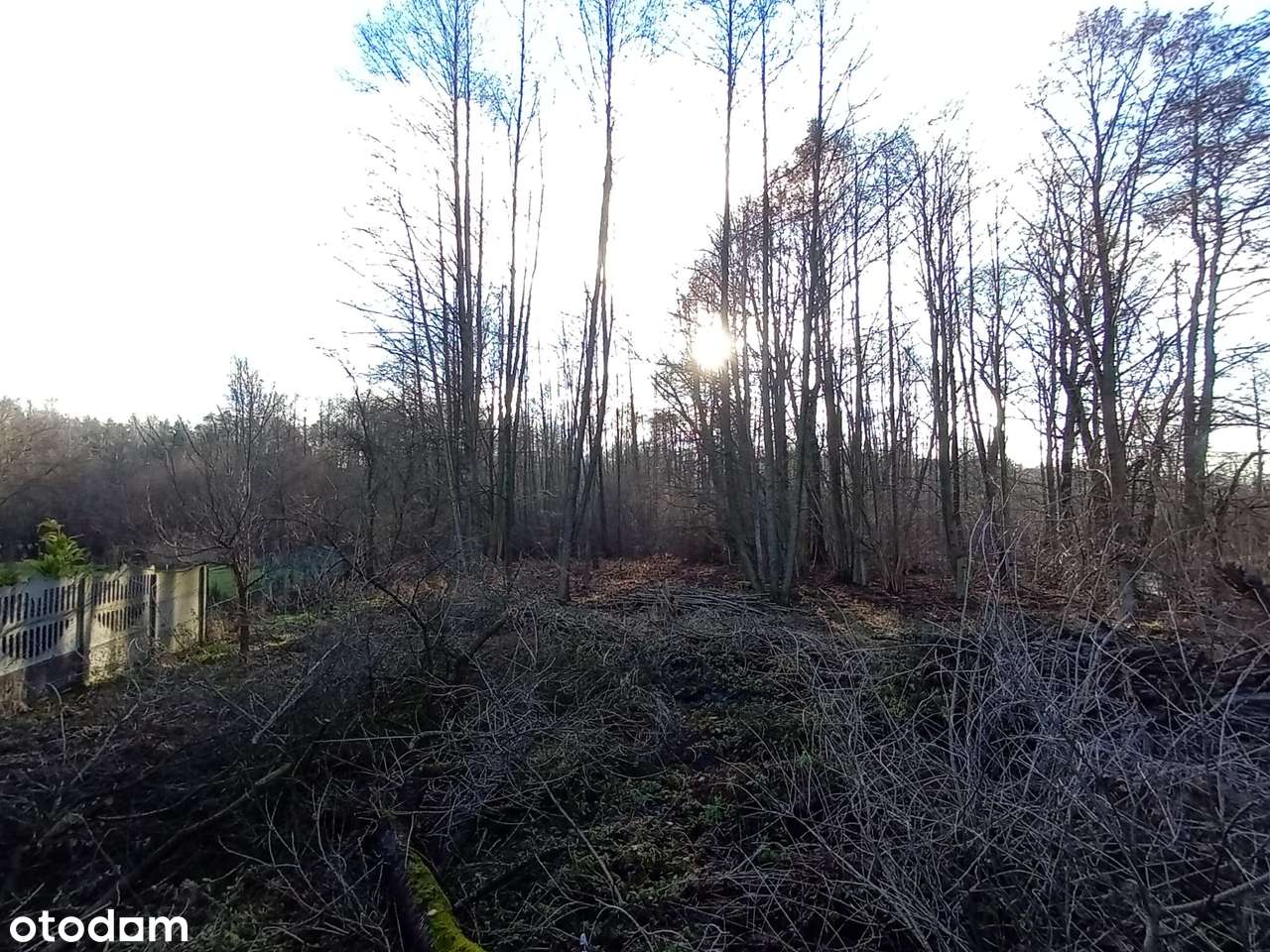 Działka zagrodowa_Wysoka Lelowska_Kępina_śląskie - Pełny obrazek: 5/5