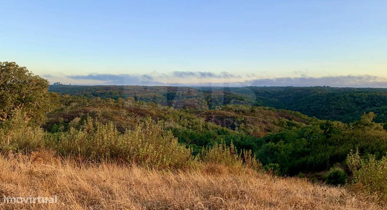 Herdade para Construção 40,85 hectares em São Bartolomeu da Serra, ... - Grande imagem: 4/50