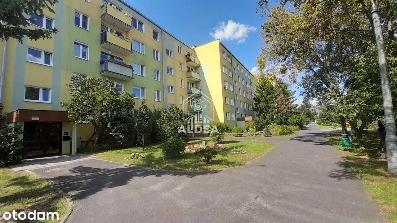 Przestronne Słoneczne Wyremontowane na Sprzedaż-9