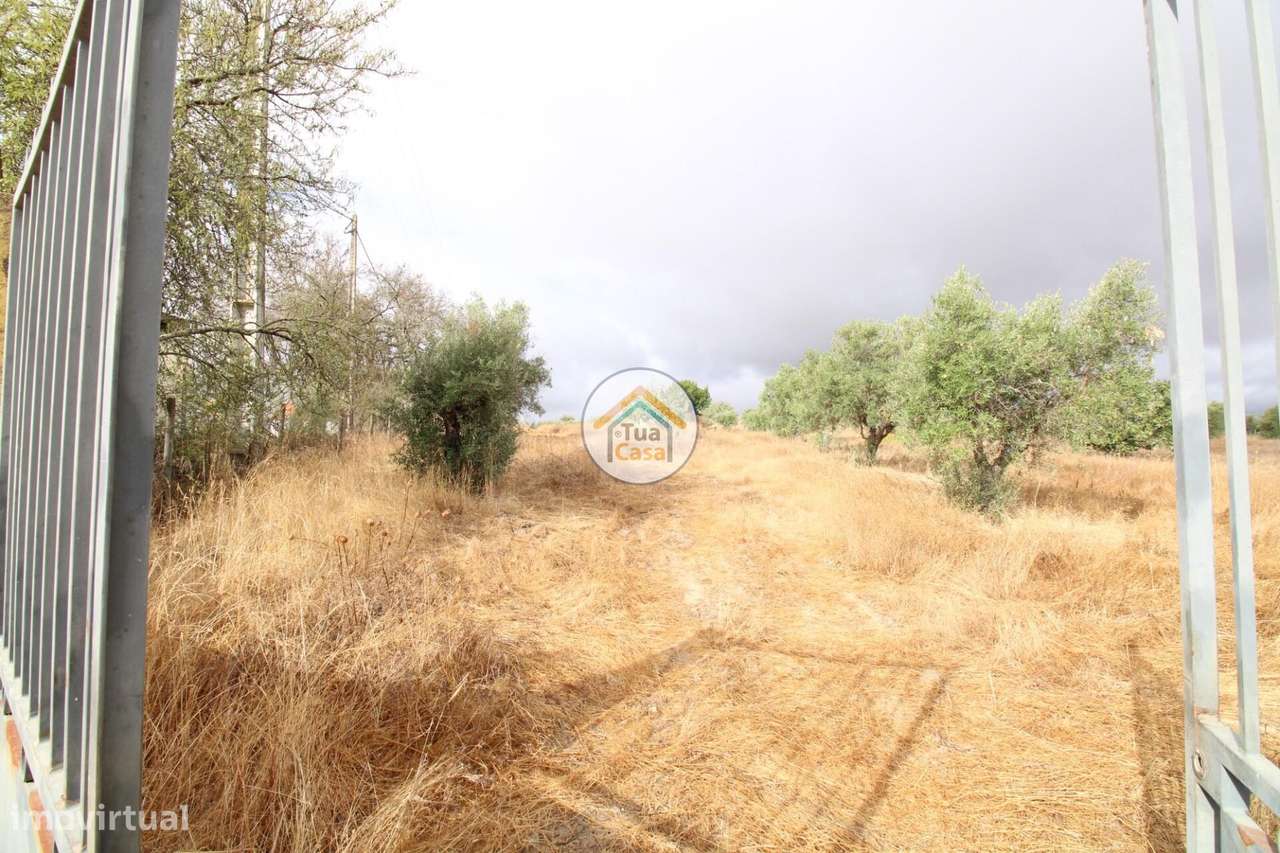 Terreno Misto com 26.000m2 com Área Urbana de 296m2 em Reguengos de Mo - Grande imagem: 3/33