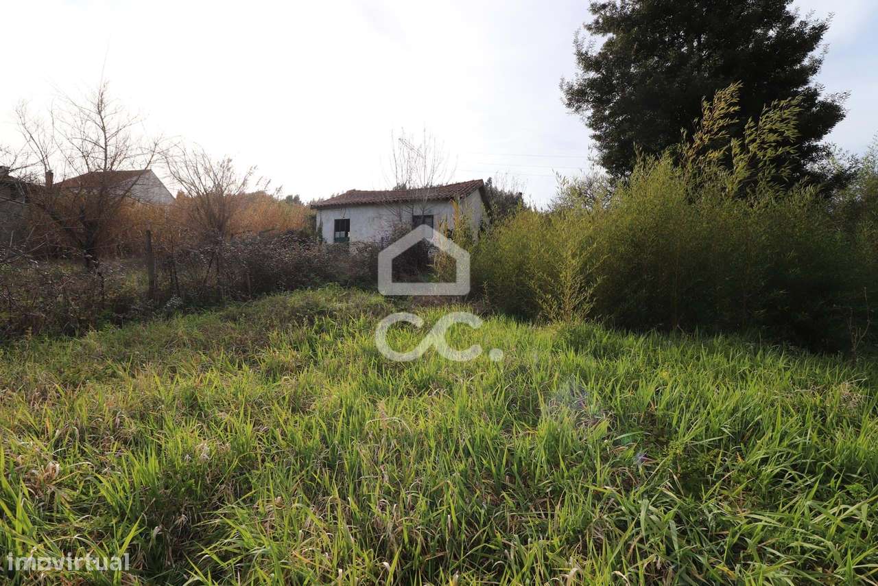 Terreno com 6.830 m2, plano, com casa de apoio e viabilidade de constr - Grande imagem: 4/11