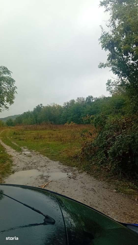 Teren in Gorgota - Imagine principală: 2/4