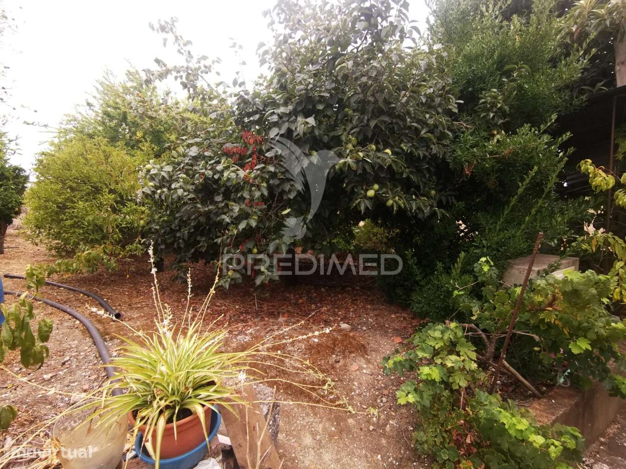 Casa Rustica Antiga - Grande imagem: 4/39